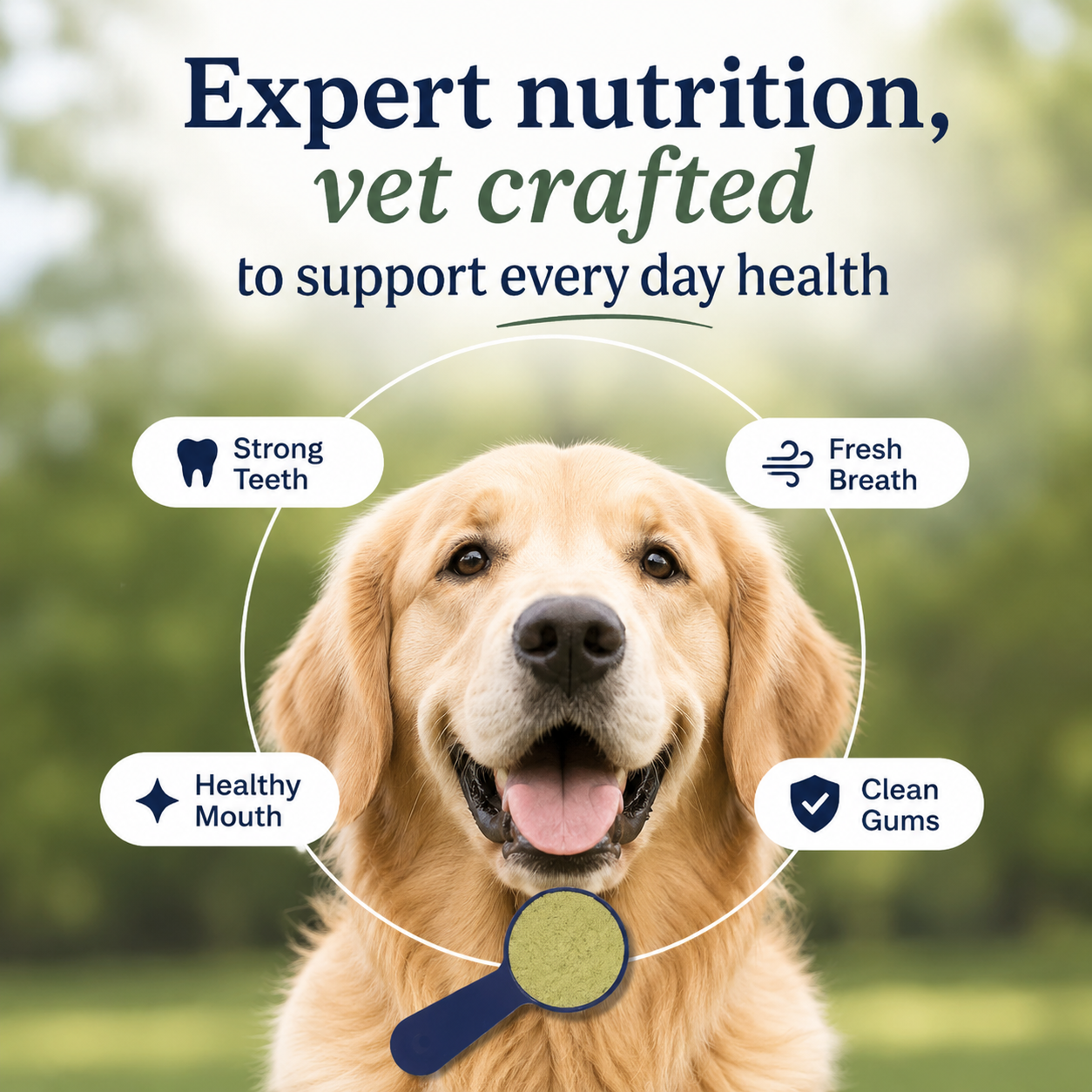 Advanced dog dental powder