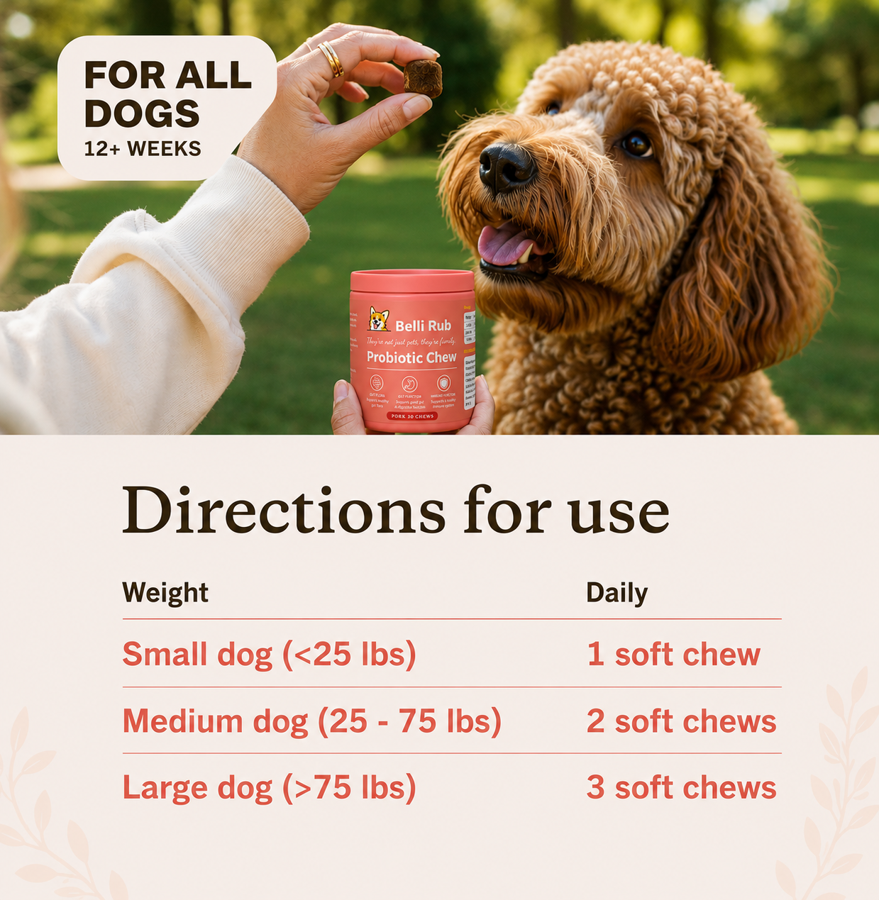 Probiotics for dogs – soft chews for gut & digestive health