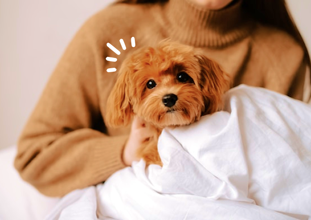 Allergy & Itch