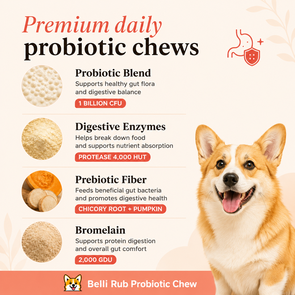 Probiotics for dogs – soft chews for gut & digestive health