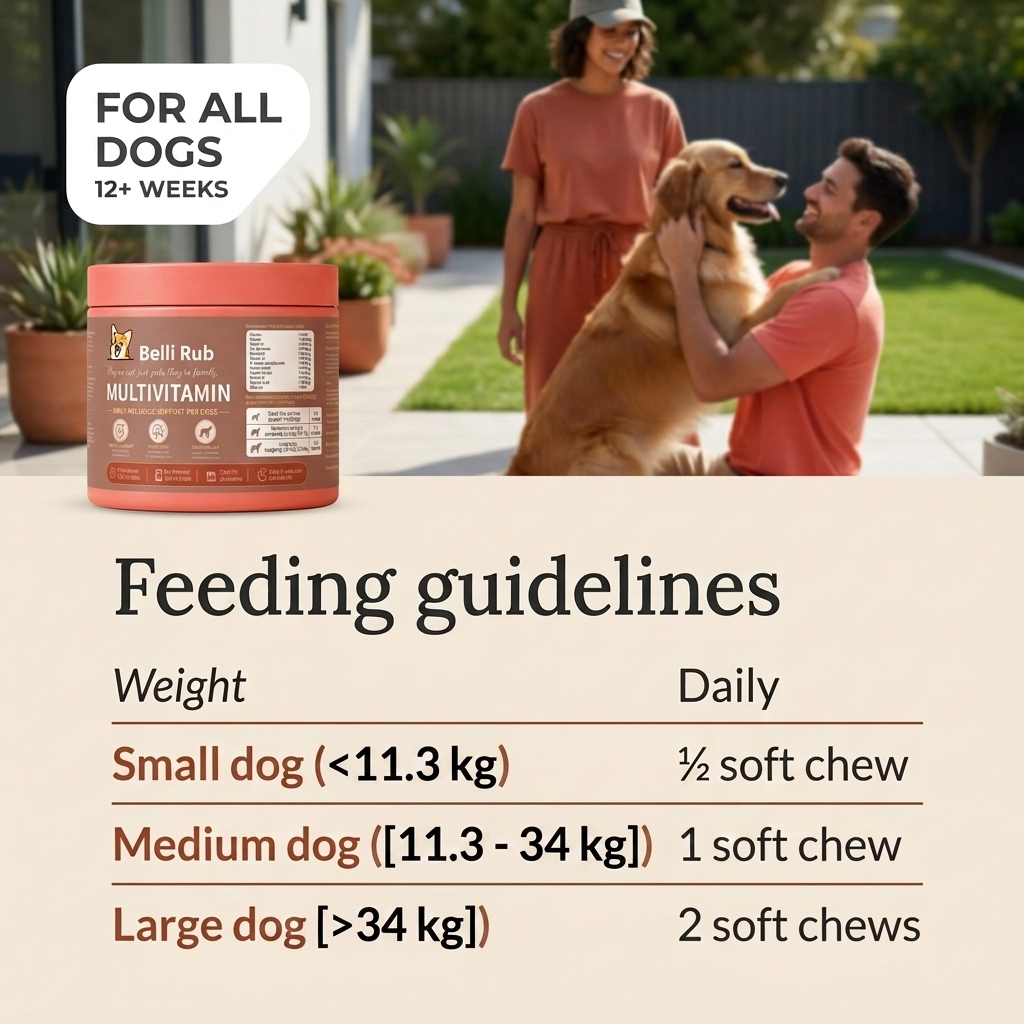 Dog multivitamin – daily vitamin supplement for dog health